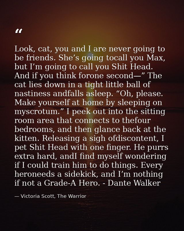 Look, cat, you and I are never going to be friends. She’s going tocall you Max, but I’m going to call you Shit Head. And — Victoria Scott, The Warrior