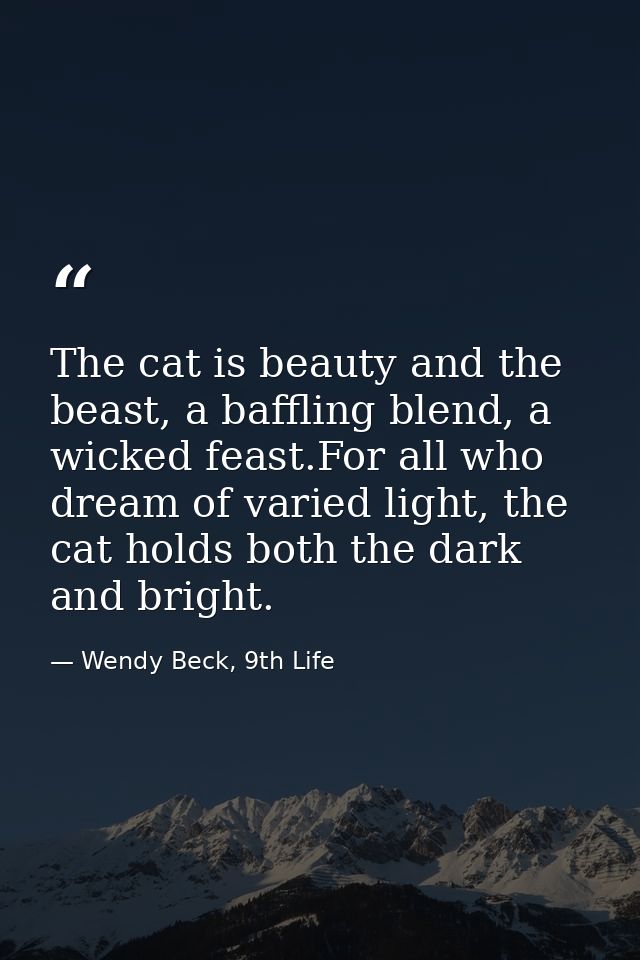 The cat is beauty and the beast, a baffling blend, a wicked feast.For all who dream of varied light, the cat holds both  — Wendy Beck, 9th Life