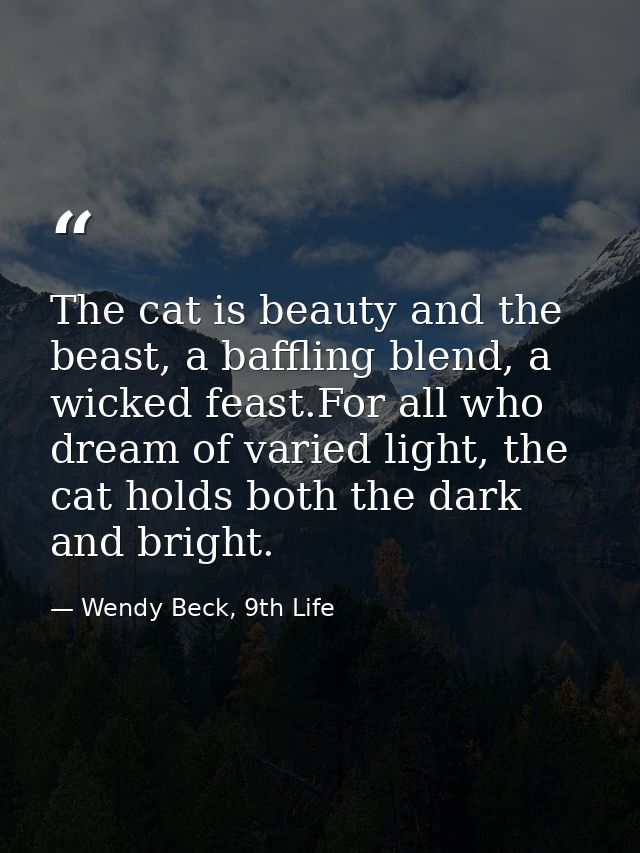 The cat is beauty and the beast, a baffling blend, a wicked feast.For all who dream of varied light, the cat holds both  — Wendy Beck, 9th Life