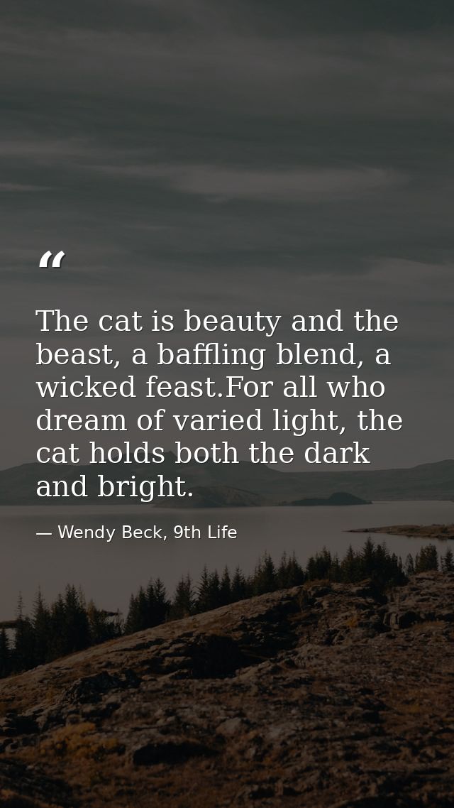 The cat is beauty and the beast, a baffling blend, a wicked feast.For all who dream of varied light, the cat holds both  — Wendy Beck, 9th Life