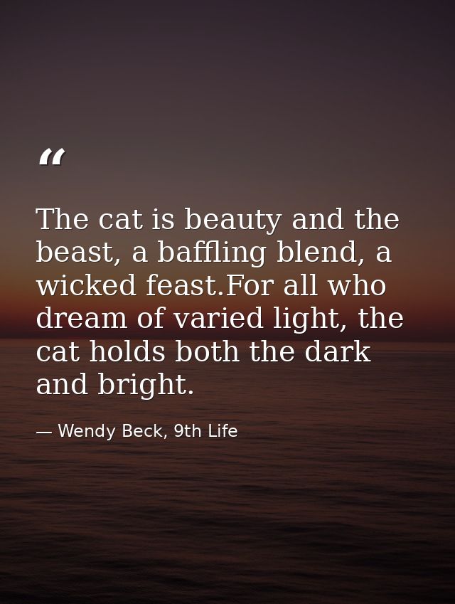 The cat is beauty and the beast, a baffling blend, a wicked feast.For all who dream of varied light, the cat holds both  — Wendy Beck, 9th Life