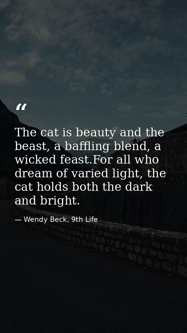 The cat is beauty and the beast, a baffling blend, a wicked feast.For all who dream of varied light, the cat holds both  — Wendy Beck, 9th Life
