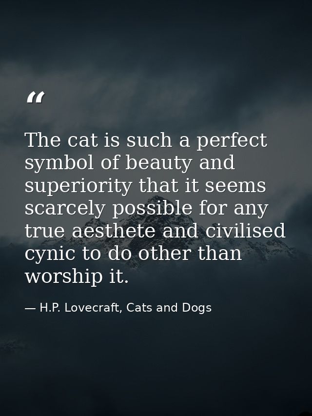 The cat is such a perfect symbol of beauty and superiority that it seems scarcely possible for any true aesthete and civ — H.P. Lovecraft, Cats and Dogs