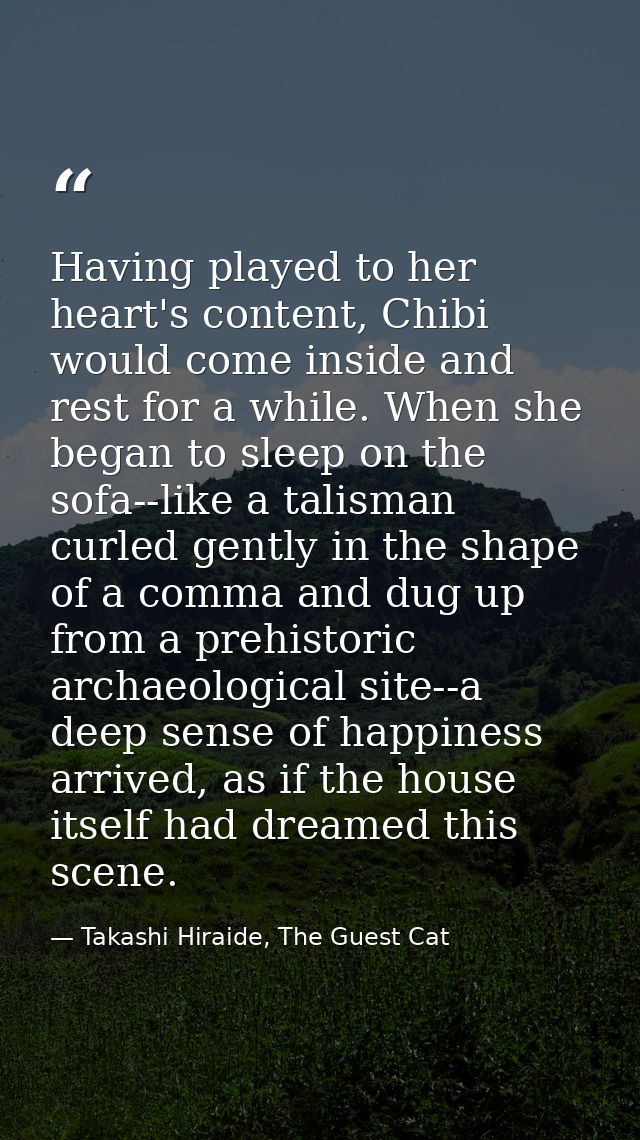 Having played to her heart's content, Chibi would come inside and rest for a while. When she began to sleep on the sofa- — Takashi Hiraide, The Guest Cat