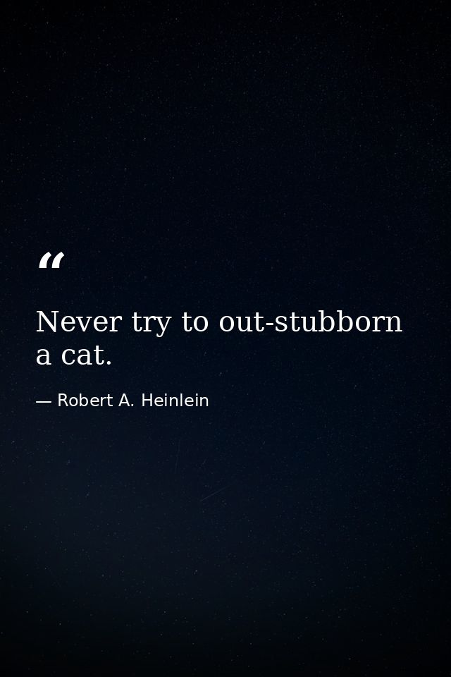 Never try to out-stubborn a cat. — Robert A. Heinlein