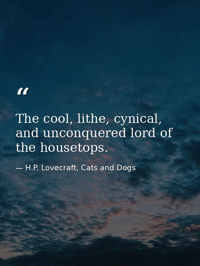 The cool, lithe, cynical, and unconquered lord of the housetops. — H.P. Lovecraft, Cats and Dogs