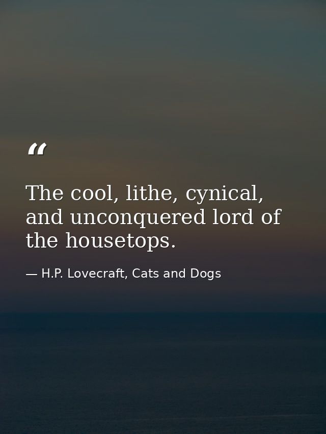 The cool, lithe, cynical, and unconquered lord of the housetops. — H.P. Lovecraft, Cats and Dogs