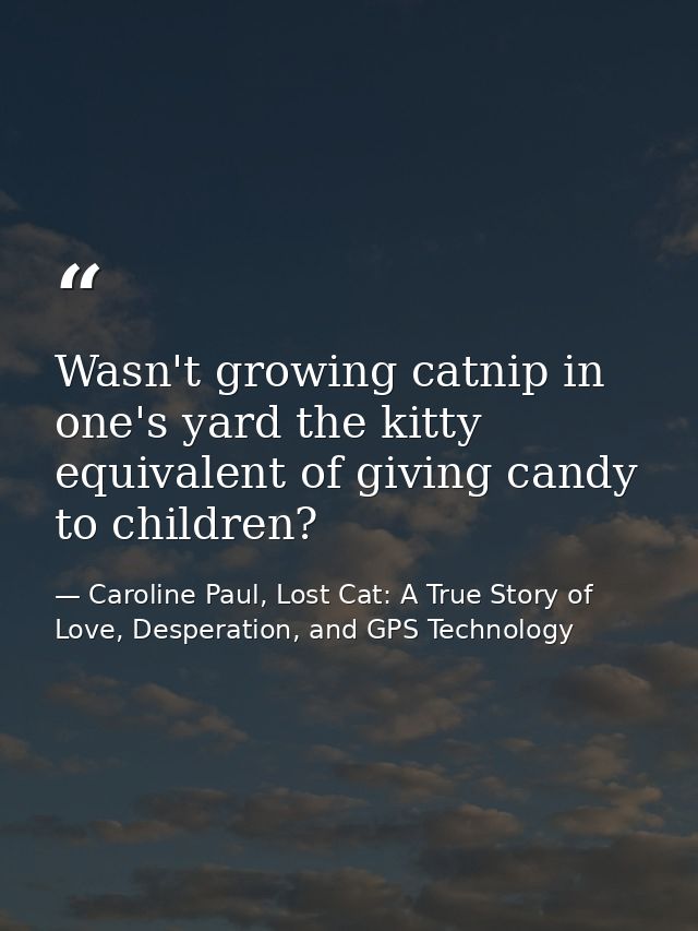 Wasn't growing catnip in one's yard the kitty equivalent of giving candy to children? — Caroline Paul, Lost Cat: A True Story of Love, Desperation, and GPS Technology