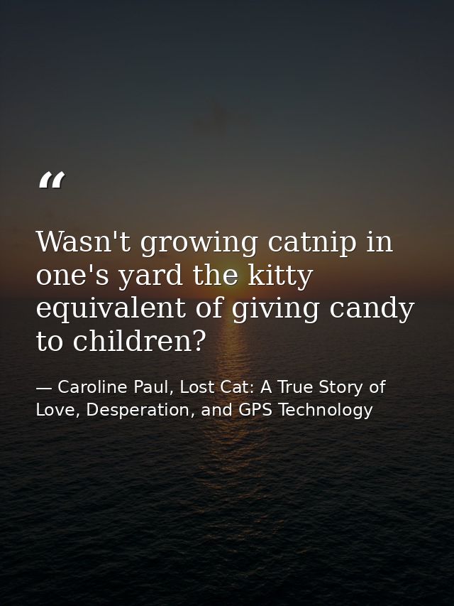 Wasn't growing catnip in one's yard the kitty equivalent of giving candy to children? — Caroline Paul, Lost Cat: A True Story of Love, Desperation, and GPS Technology