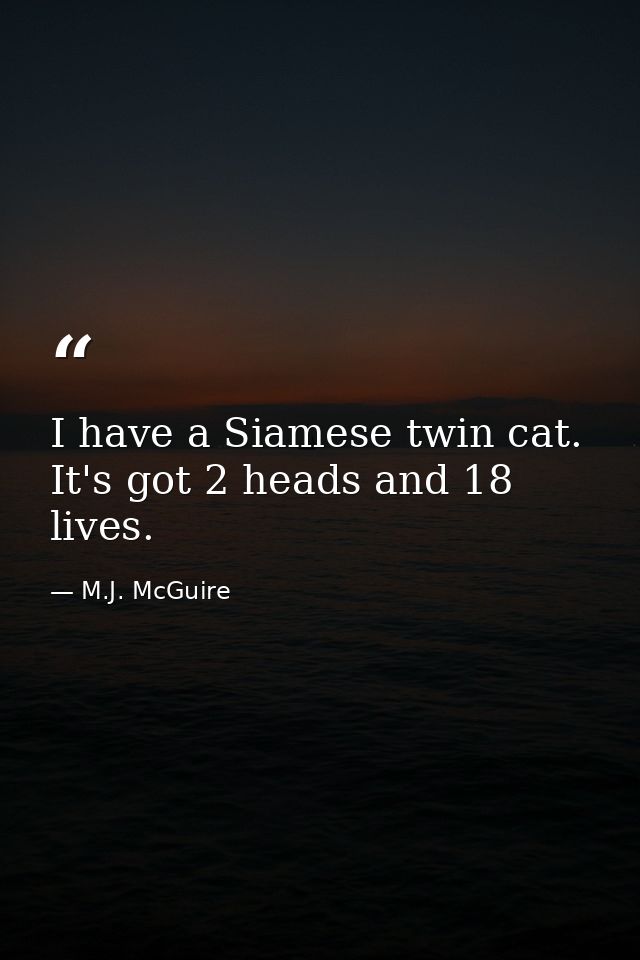 I have a Siamese twin cat. It's got 2 heads and 18 lives. — M.J. McGuire