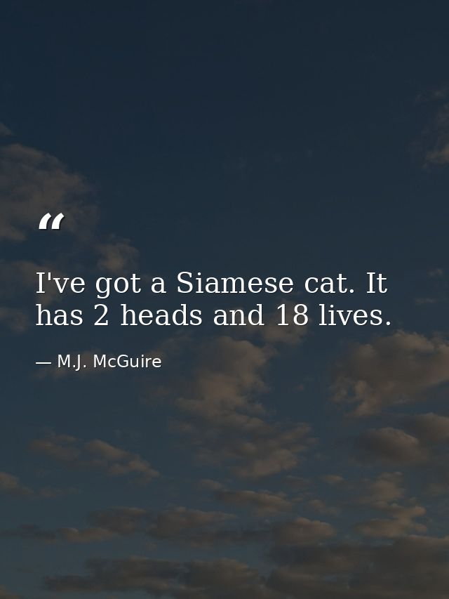 I've got a Siamese cat. It has 2 heads and 18 lives. — M.J. McGuire