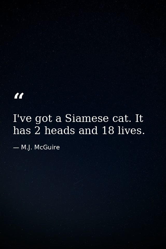 I've got a Siamese cat. It has 2 heads and 18 lives. — M.J. McGuire