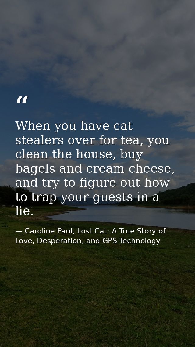When you have cat stealers over for tea, you clean the house, buy bagels and cream cheese, and try to figure out how to  — Caroline Paul, Lost Cat: A True Story of Love, Desperation, and GPS Technology
