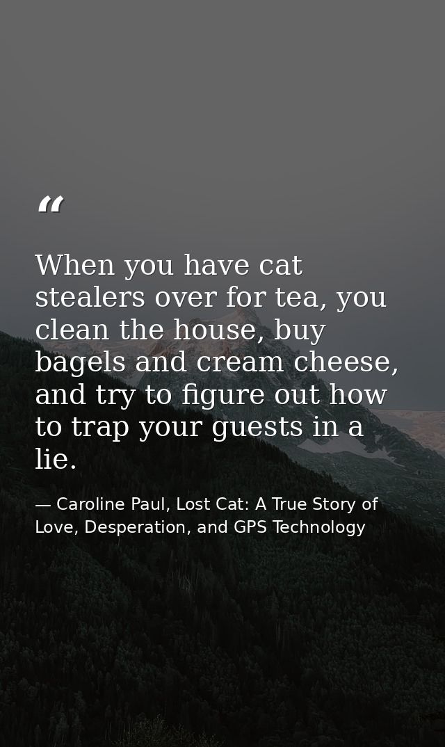 When you have cat stealers over for tea, you clean the house, buy bagels and cream cheese, and try to figure out how to  — Caroline Paul, Lost Cat: A True Story of Love, Desperation, and GPS Technology