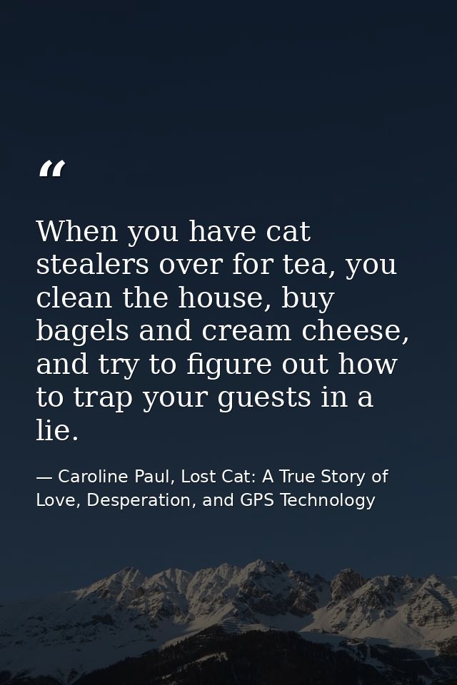 When you have cat stealers over for tea, you clean the house, buy bagels and cream cheese, and try to figure out how to  — Caroline Paul, Lost Cat: A True Story of Love, Desperation, and GPS Technology