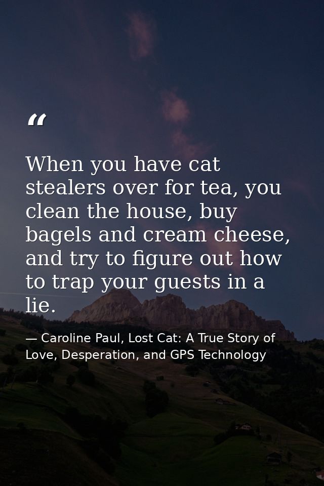 When you have cat stealers over for tea, you clean the house, buy bagels and cream cheese, and try to figure out how to  — Caroline Paul, Lost Cat: A True Story of Love, Desperation, and GPS Technology