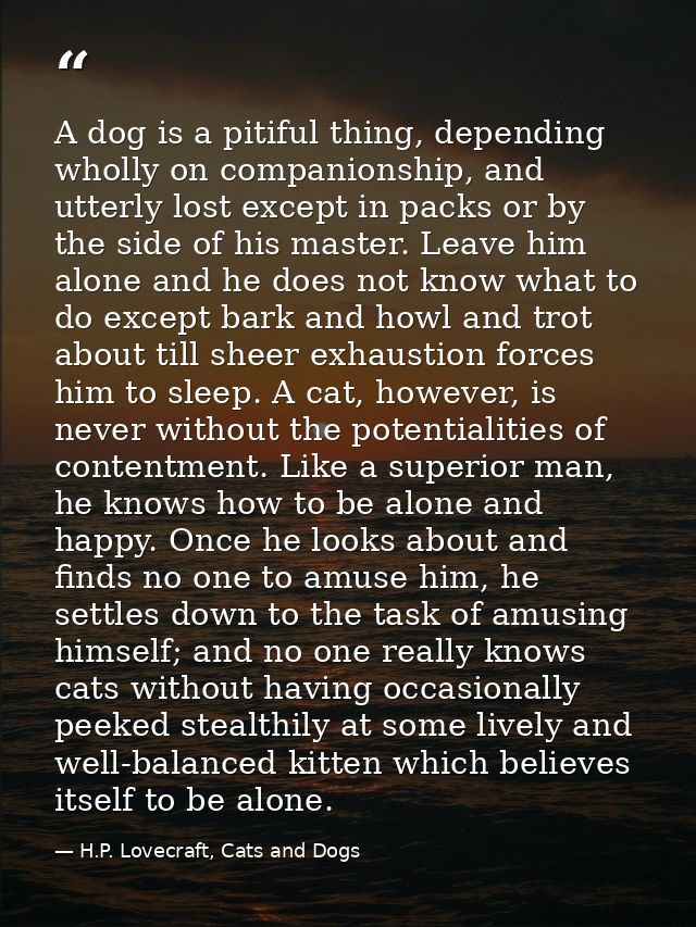 A dog is a pitiful thing, depending wholly on companionship, and utterly lost except in packs or by the side of his mast — H.P. Lovecraft, Cats and Dogs
