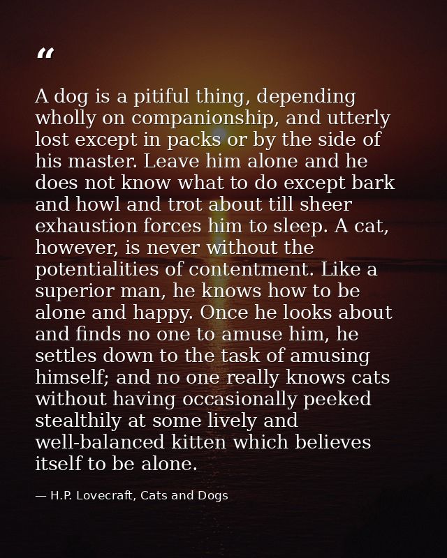 A dog is a pitiful thing, depending wholly on companionship, and utterly lost except in packs or by the side of his mast — H.P. Lovecraft, Cats and Dogs
