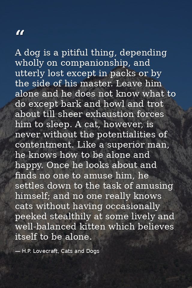 A dog is a pitiful thing, depending wholly on companionship, and utterly lost except in packs or by the side of his mast — H.P. Lovecraft, Cats and Dogs