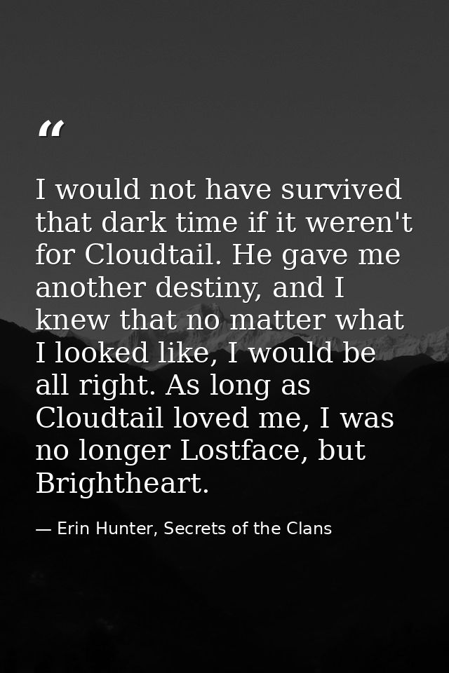 I would not have survived that dark time if it weren't for Cloudtail. He gave me another destiny, and I knew that no mat — Erin Hunter, Secrets of the Clans
