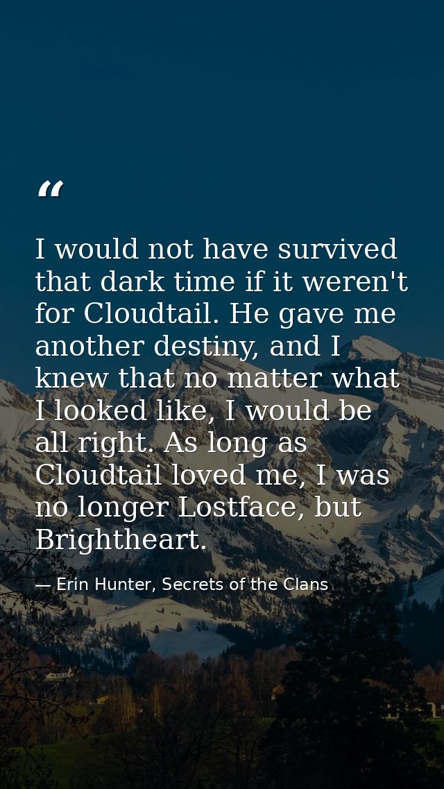 I would not have survived that dark time if it weren't for Cloudtail. He gave me another destiny, and I knew that no mat — Erin Hunter, Secrets of the Clans