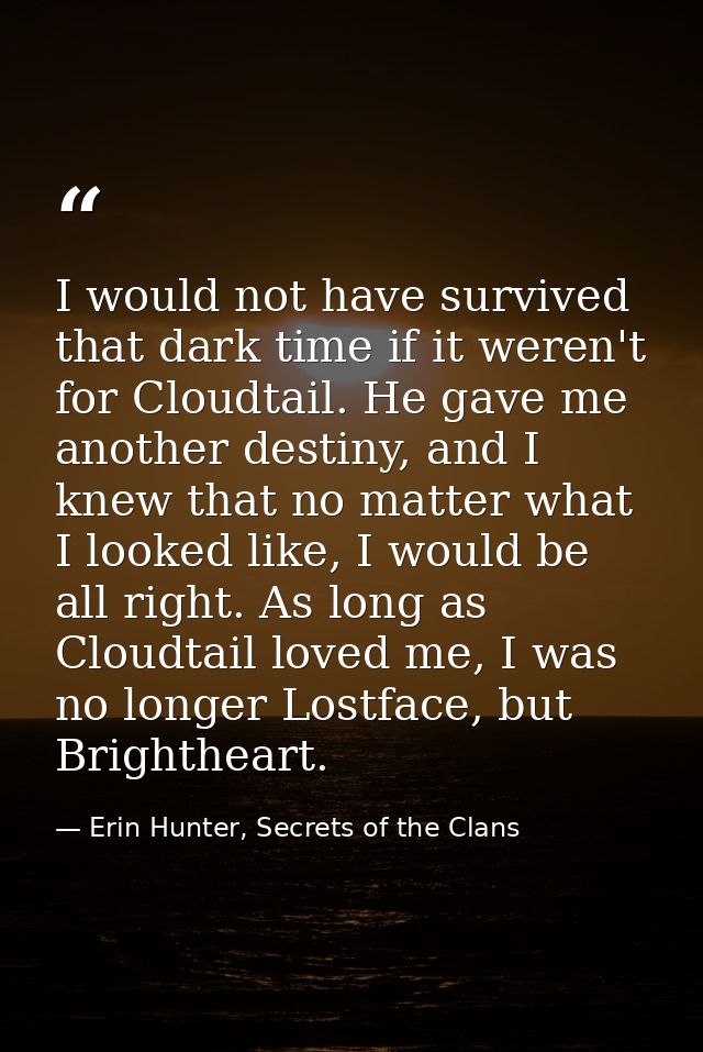 I would not have survived that dark time if it weren't for Cloudtail. He gave me another destiny, and I knew that no mat — Erin Hunter, Secrets of the Clans