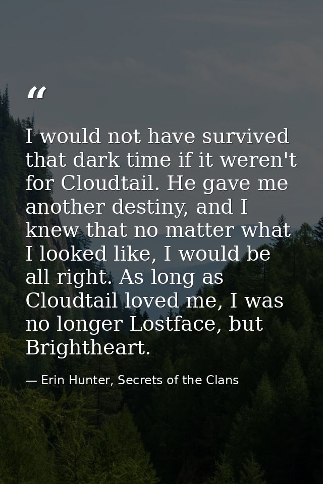 I would not have survived that dark time if it weren't for Cloudtail. He gave me another destiny, and I knew that no mat — Erin Hunter, Secrets of the Clans