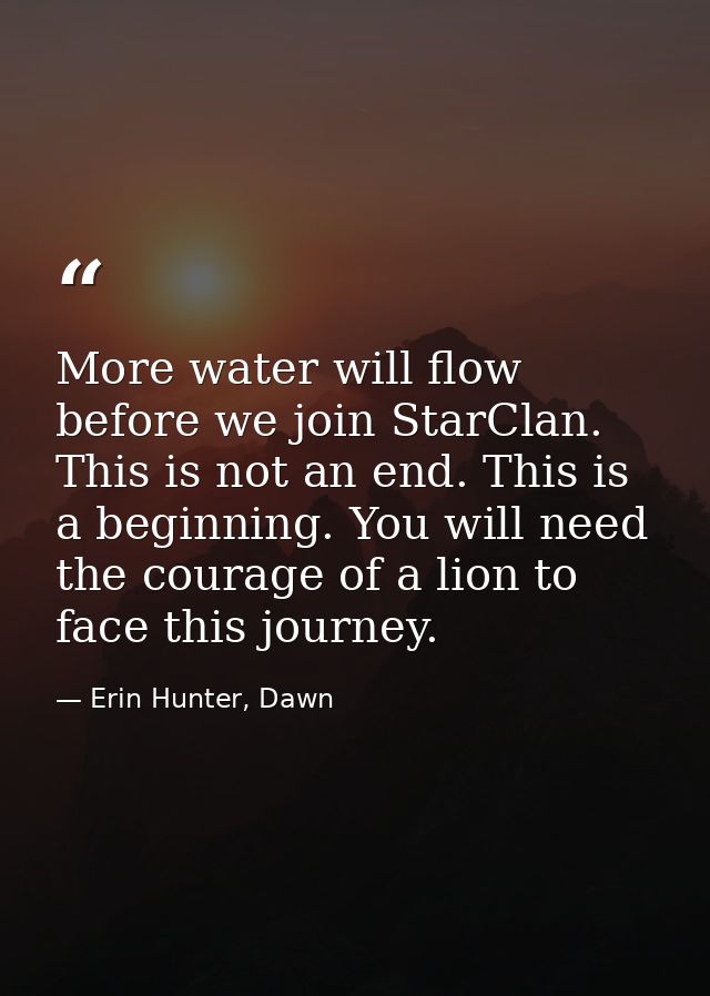 More water will flow before we join StarClan. This is not an end. This is a beginning. You will need the courage of a li — Erin Hunter, Dawn