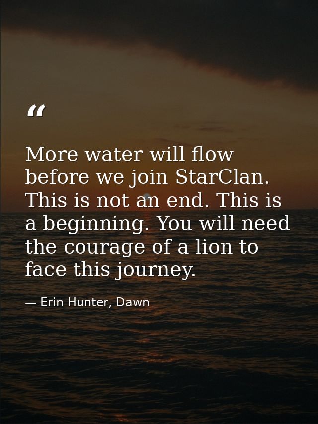 More water will flow before we join StarClan. This is not an end. This is a beginning. You will need the courage of a li — Erin Hunter, Dawn