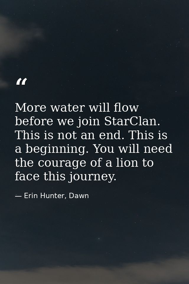 More water will flow before we join StarClan. This is not an end. This is a beginning. You will need the courage of a li — Erin Hunter, Dawn