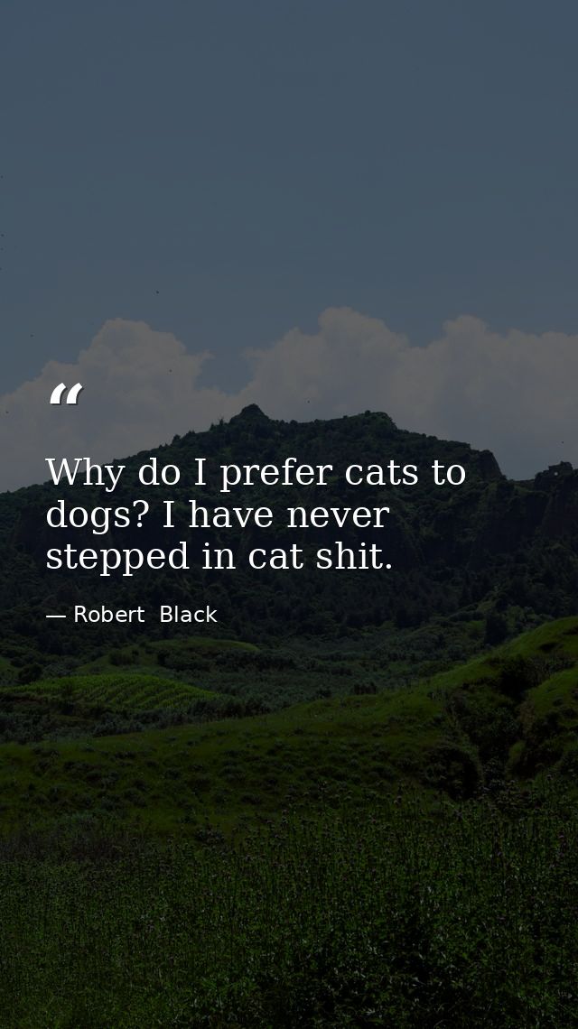 Why do I prefer cats to dogs? I have never stepped in cat shit. — Robert  Black