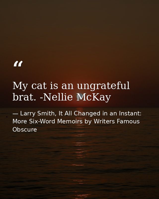 My cat is an ungrateful brat. -Nellie McKay — Larry Smith, It All Changed in an Instant: More Six-Word Memoirs by Writers Famous  Obscure