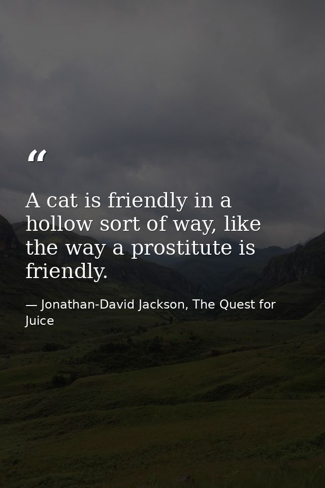 A cat is friendly in a hollow sort of way, like the way a prostitute is friendly. — Jonathan-David Jackson, The Quest for Juice