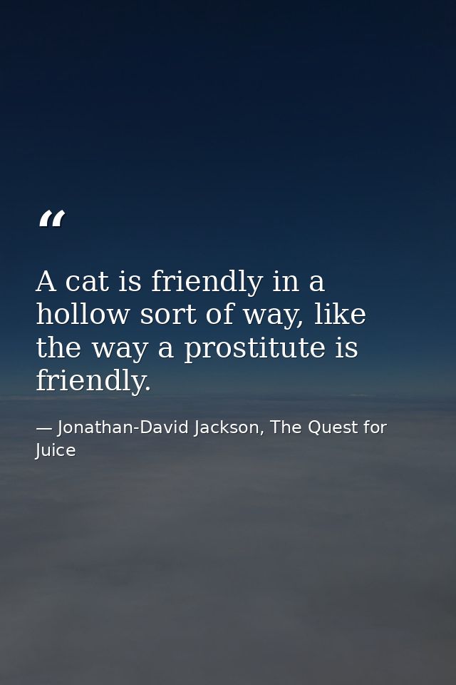 A cat is friendly in a hollow sort of way, like the way a prostitute is friendly. — Jonathan-David Jackson, The Quest for Juice