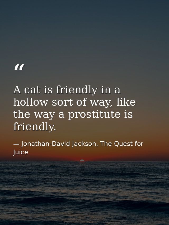 A cat is friendly in a hollow sort of way, like the way a prostitute is friendly. — Jonathan-David Jackson, The Quest for Juice