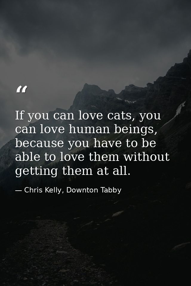 If you can love cats, you can love human beings, because you have to be able to love them without getting them at all. — Chris Kelly, Downton Tabby