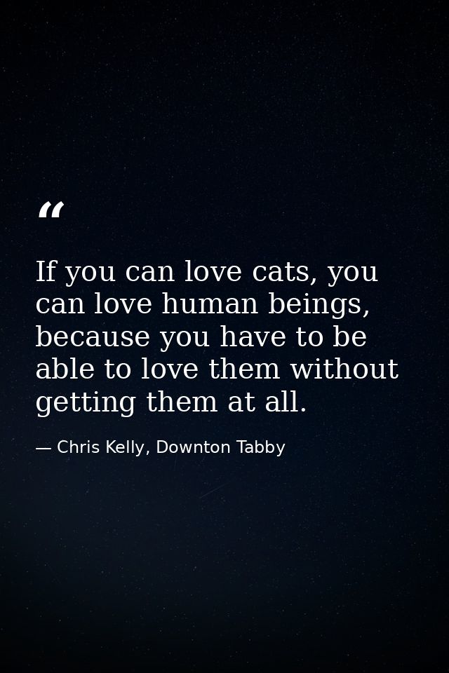 If you can love cats, you can love human beings, because you have to be able to love them without getting them at all. — Chris Kelly, Downton Tabby