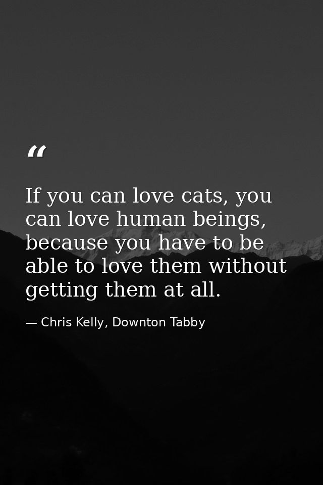 If you can love cats, you can love human beings, because you have to be able to love them without getting them at all. — Chris Kelly, Downton Tabby
