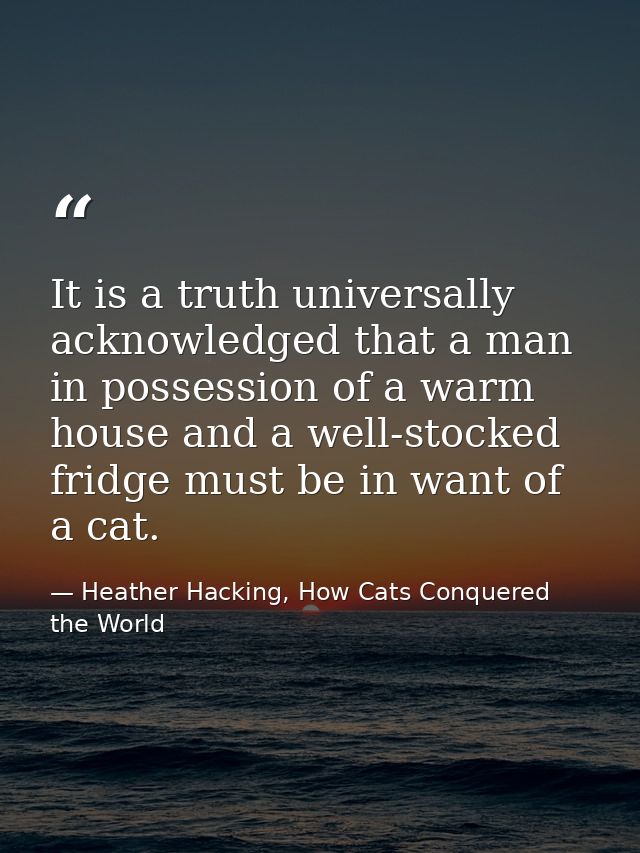 It is a truth universally acknowledged that a man in possession of a warm house and a well-stocked fridge must be in wan — Heather Hacking, How Cats Conquered the World