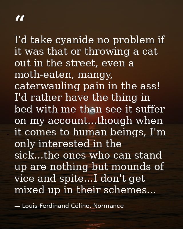 I'd take cyanide no problem if it was that or throwing a cat out in the street, even a moth-eaten, mangy, caterwauling p — Louis-Ferdinand Céline, Normance