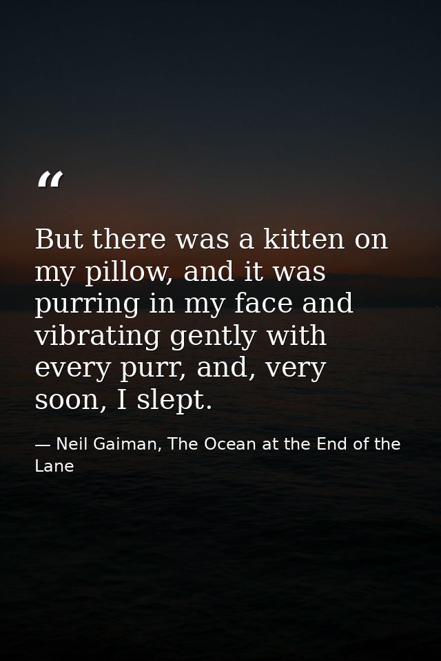 But there was a kitten on my pillow, and it was purring in my face and vibrating gently with every purr, and, very soon, — Neil Gaiman, The Ocean at the End of the Lane