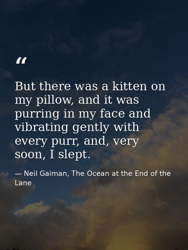 But there was a kitten on my pillow, and it was purring in my face and vibrating gently with every purr, and, very soon, — Neil Gaiman, The Ocean at the End of the Lane