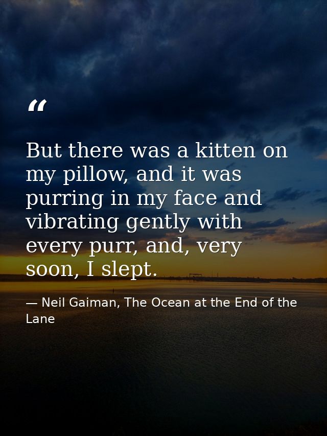 But there was a kitten on my pillow, and it was purring in my face and vibrating gently with every purr, and, very soon, — Neil Gaiman, The Ocean at the End of the Lane