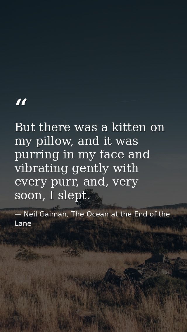 But there was a kitten on my pillow, and it was purring in my face and vibrating gently with every purr, and, very soon, — Neil Gaiman, The Ocean at the End of the Lane