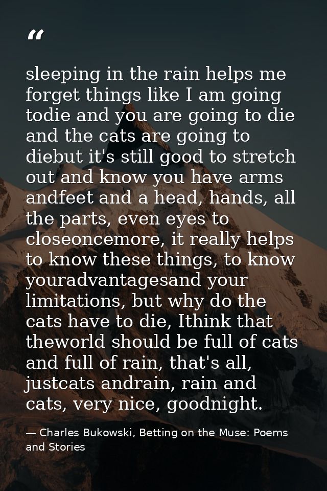 sleeping in the rain helps me forget things like I am going todie and you are going to die and the cats are going to die — Charles Bukowski, Betting on the Muse: Poems and Stories