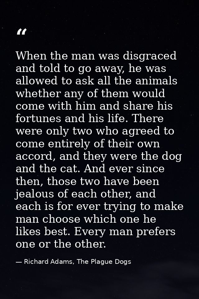 When the man was disgraced and told to go away, he was allowed to ask all the animals whether any of them would come wit — Richard Adams, The Plague Dogs