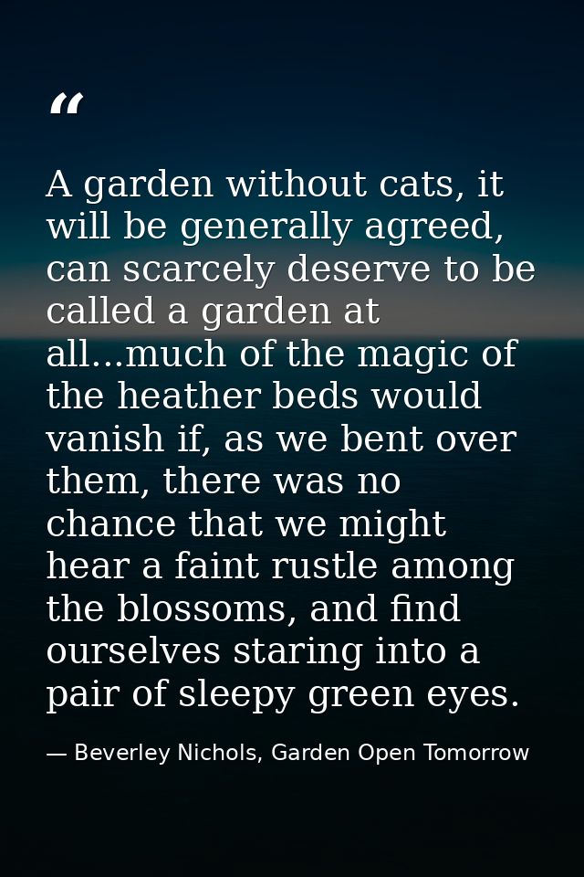 A garden without cats, it will be generally agreed, can scarcely deserve to be called a garden at all...much of the magi — Beverley Nichols, Garden Open Tomorrow