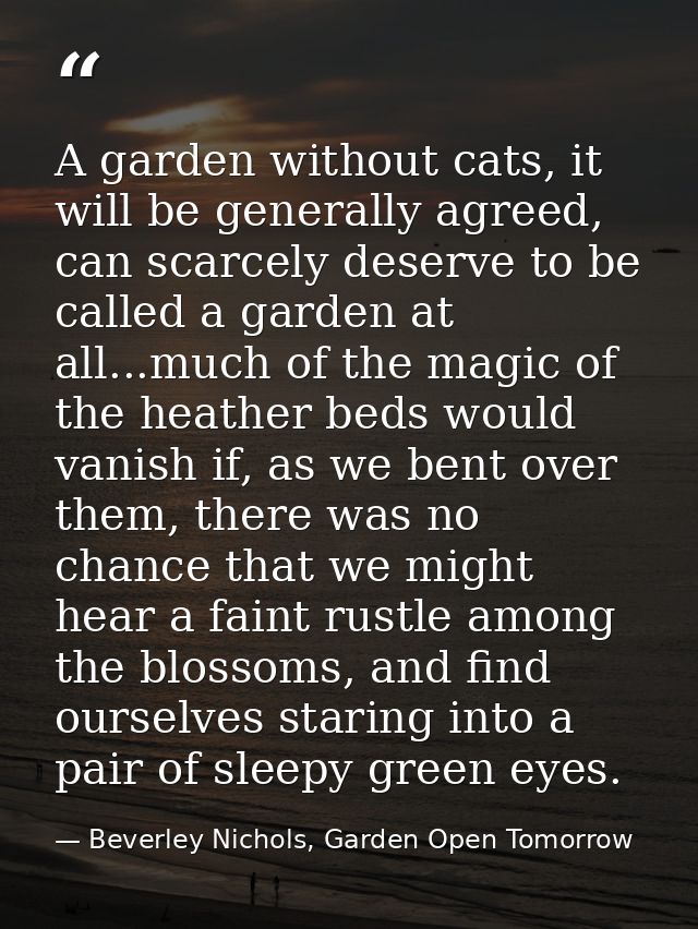 A garden without cats, it will be generally agreed, can scarcely deserve to be called a garden at all...much of the magi — Beverley Nichols, Garden Open Tomorrow