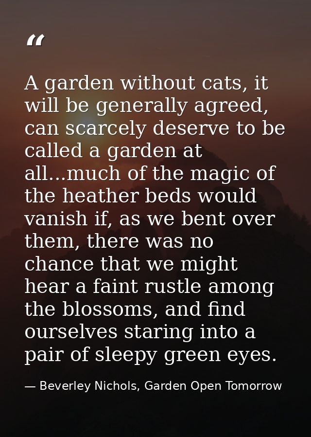 A garden without cats, it will be generally agreed, can scarcely deserve to be called a garden at all...much of the magi — Beverley Nichols, Garden Open Tomorrow
