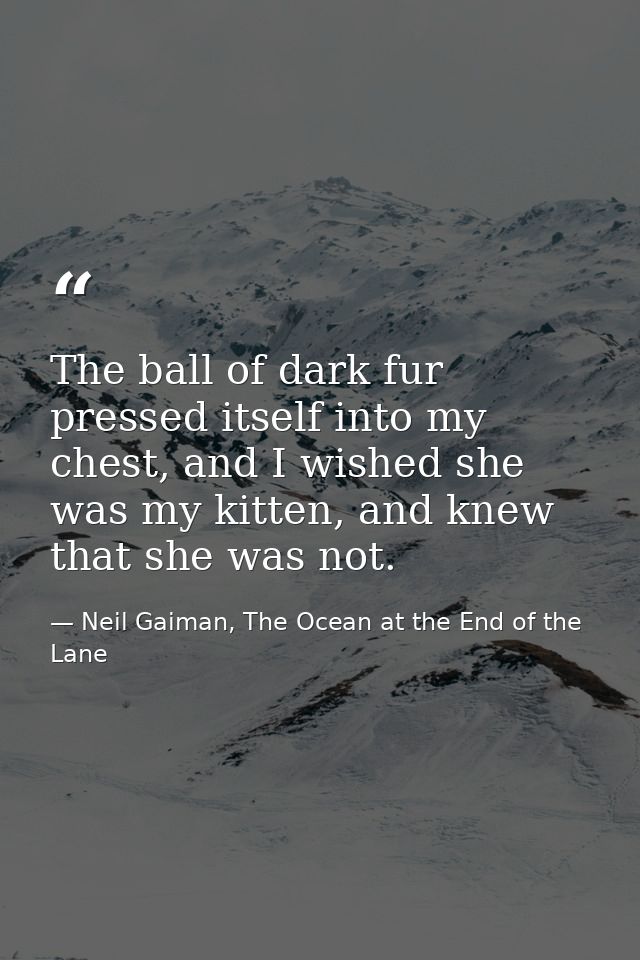 The ball of dark fur pressed itself into my chest, and I wished she was my kitten, and knew that she was not. — Neil Gaiman, The Ocean at the End of the Lane